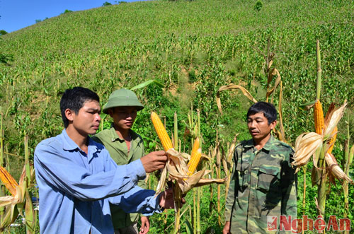 Xã Chiêu Lưu