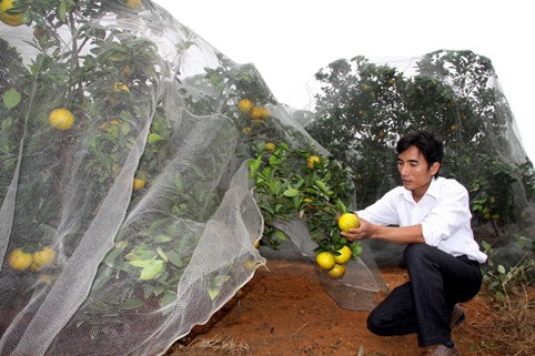Xã Đức Bống