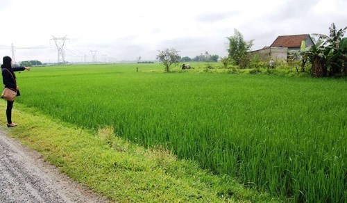 Xã Đức Thanh