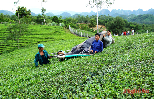 Xã Hùng Sơn Xã Hùng Sơn