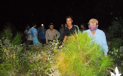 Xã Sơn Bình